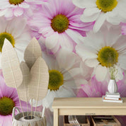 3D Colorful Spring Daisies Wall Mural Wallpaper GD 3333- Jess Art Decoration