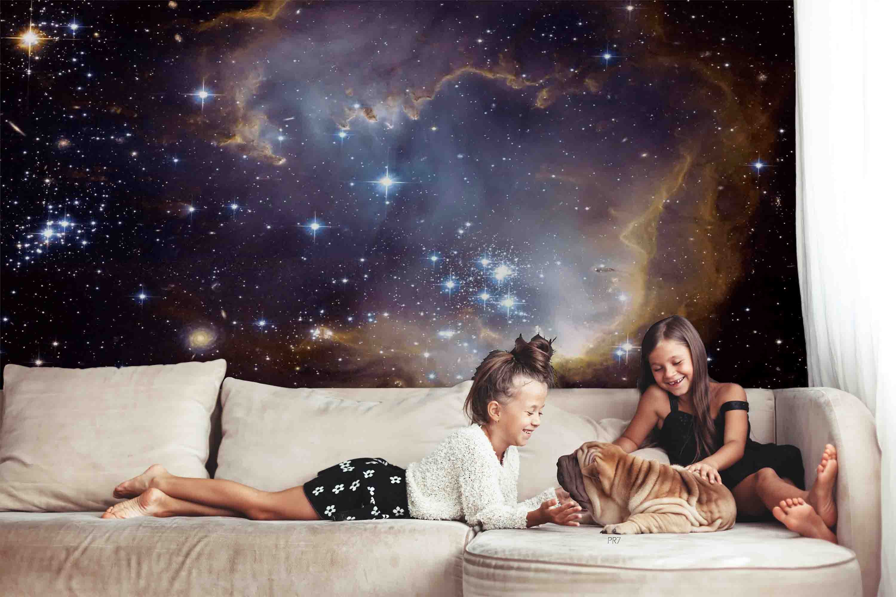 3D Star Cloud Night Sky Silhouette Branch Tree Wall Mural Wallpaper GD 4496- Jess Art Decoration