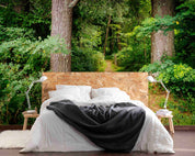 3D Shenandoah National Park Forest Trail Virginia Wall Mural Wallpaper GD 4381- Jess Art Decoration