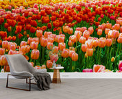 3D Colorful Tulip Flower Wallpaper Wall Mural Wall Decor Wall Art Wall Sticker Remoable Wallpaper