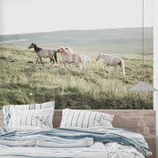 3D Closeup Cute Pony Wilderness Wall Mural Wallpaper GD 5357- Jess Art Decoration