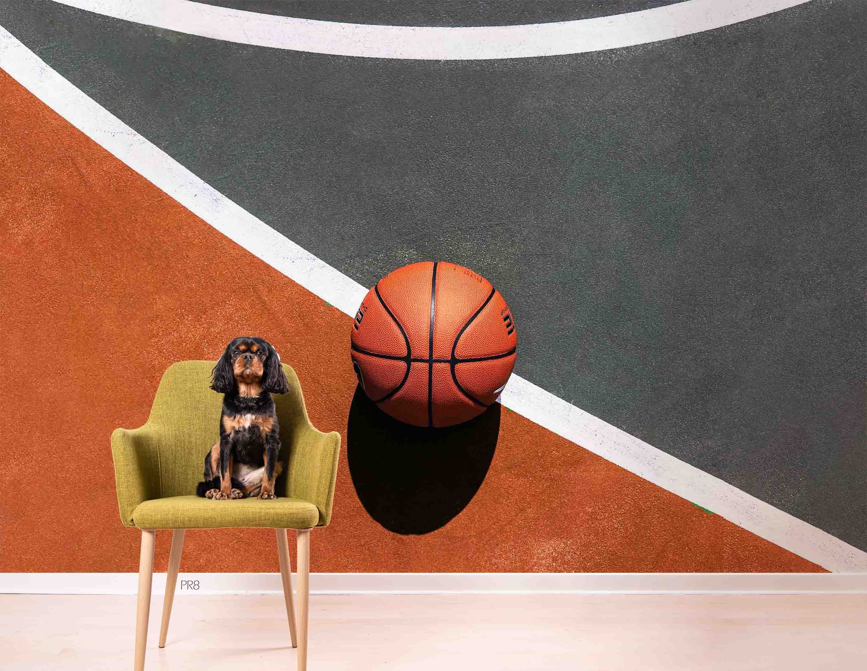 Basketball Court Sideline Wallpaper basketball wall mural for bedroom, gym or sports room - view 5