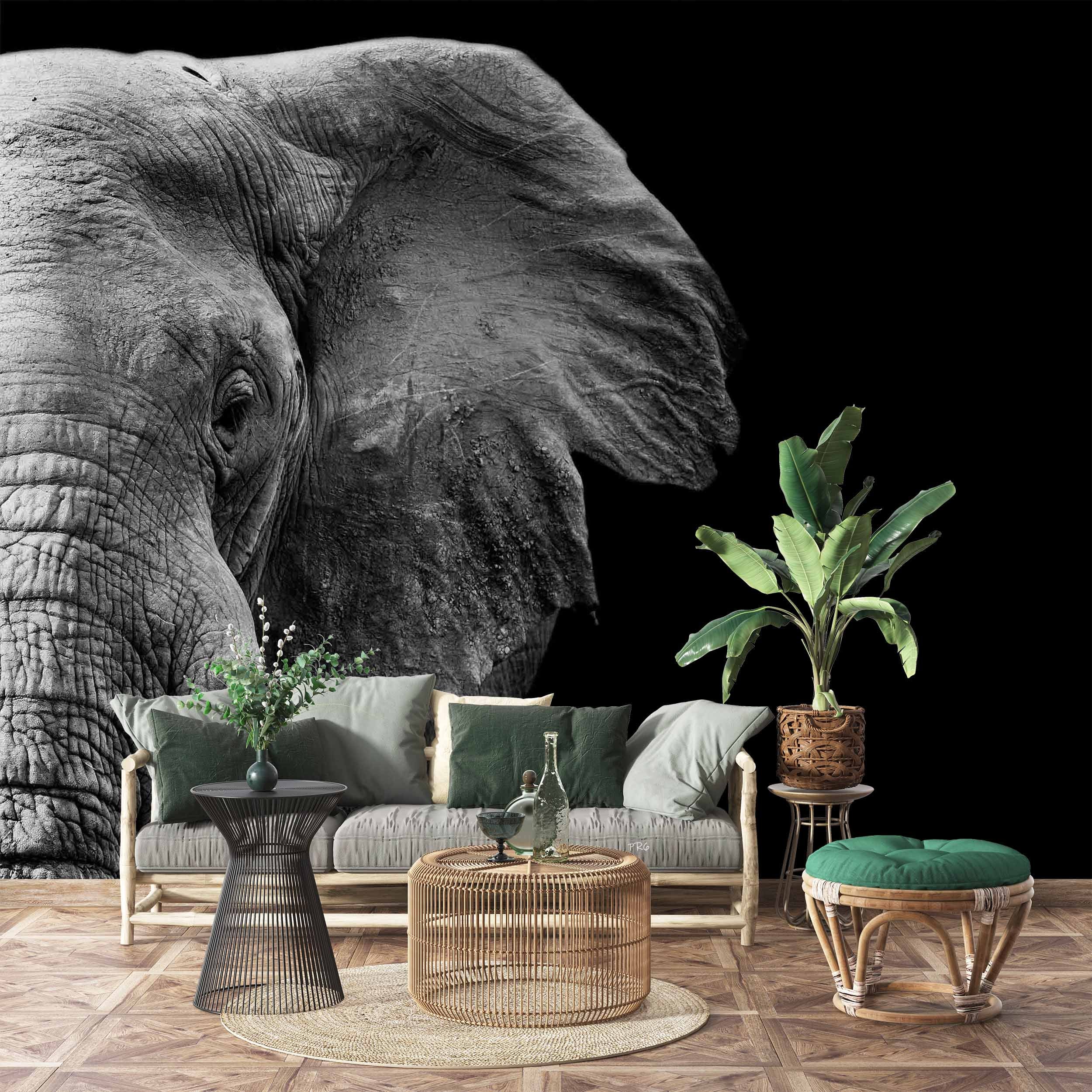 3D Animal Elephant Grey Black Wall Mural Wallpaper YXL 14- Jess Art Decoration