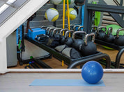 3D Storeroom Fitness Ball Ball Wall Mural Wallpaper YXL 2394