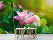 3D Pond Pink Lotus Leaf Wallpaper Wall Mural Wall Decor Wall Art Wall Sticker Remoable Wallpaper