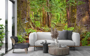 3D Daimon-zaka Slope Forest Trees Wakayama Nachi City Japan Wall Mural Wallpaper GD 4341- Jess Art Decoration