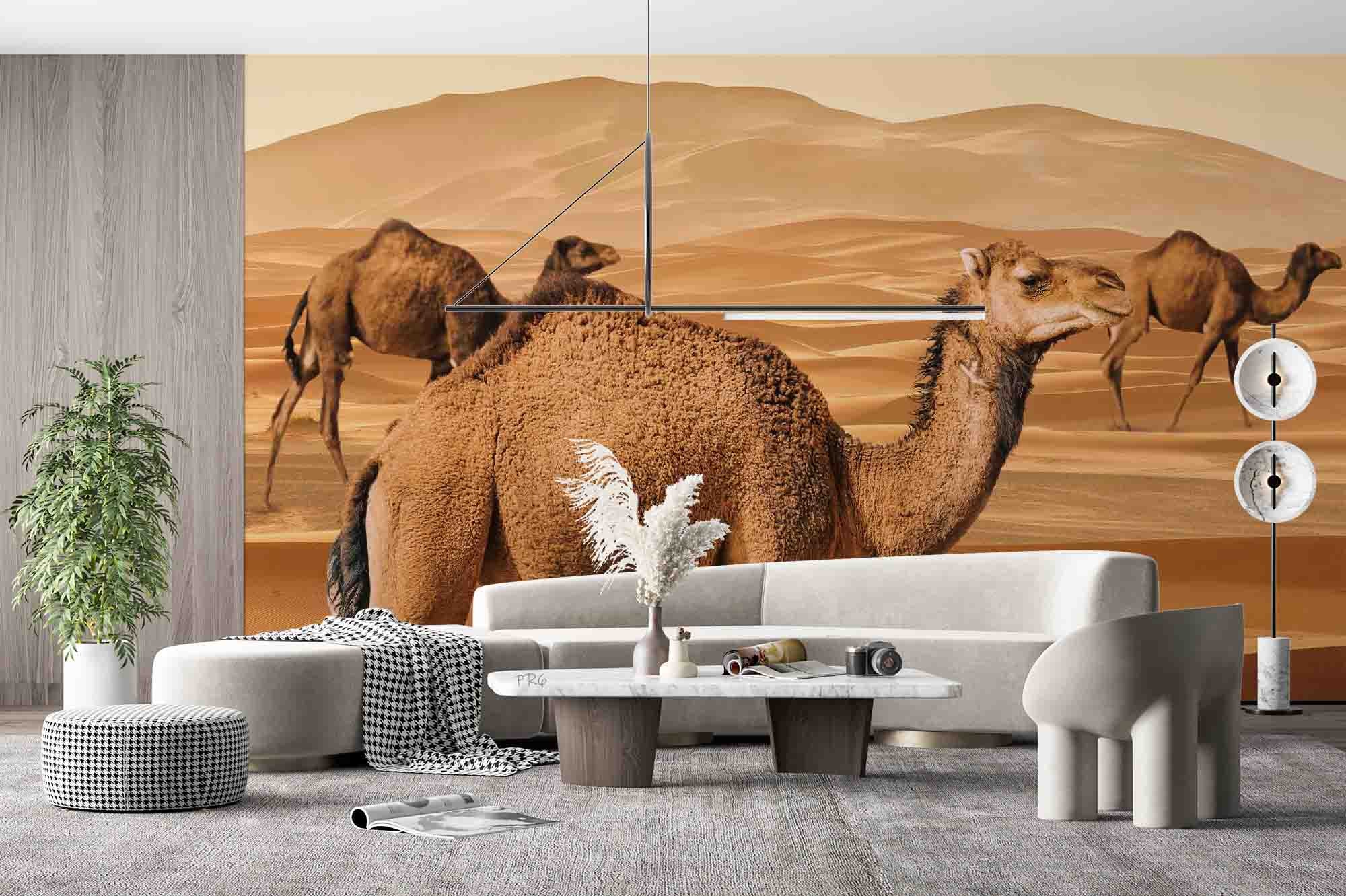 3D Animal Camel Desert Golden Wall Mural Wallpaper YXL 1- Jess Art Decoration