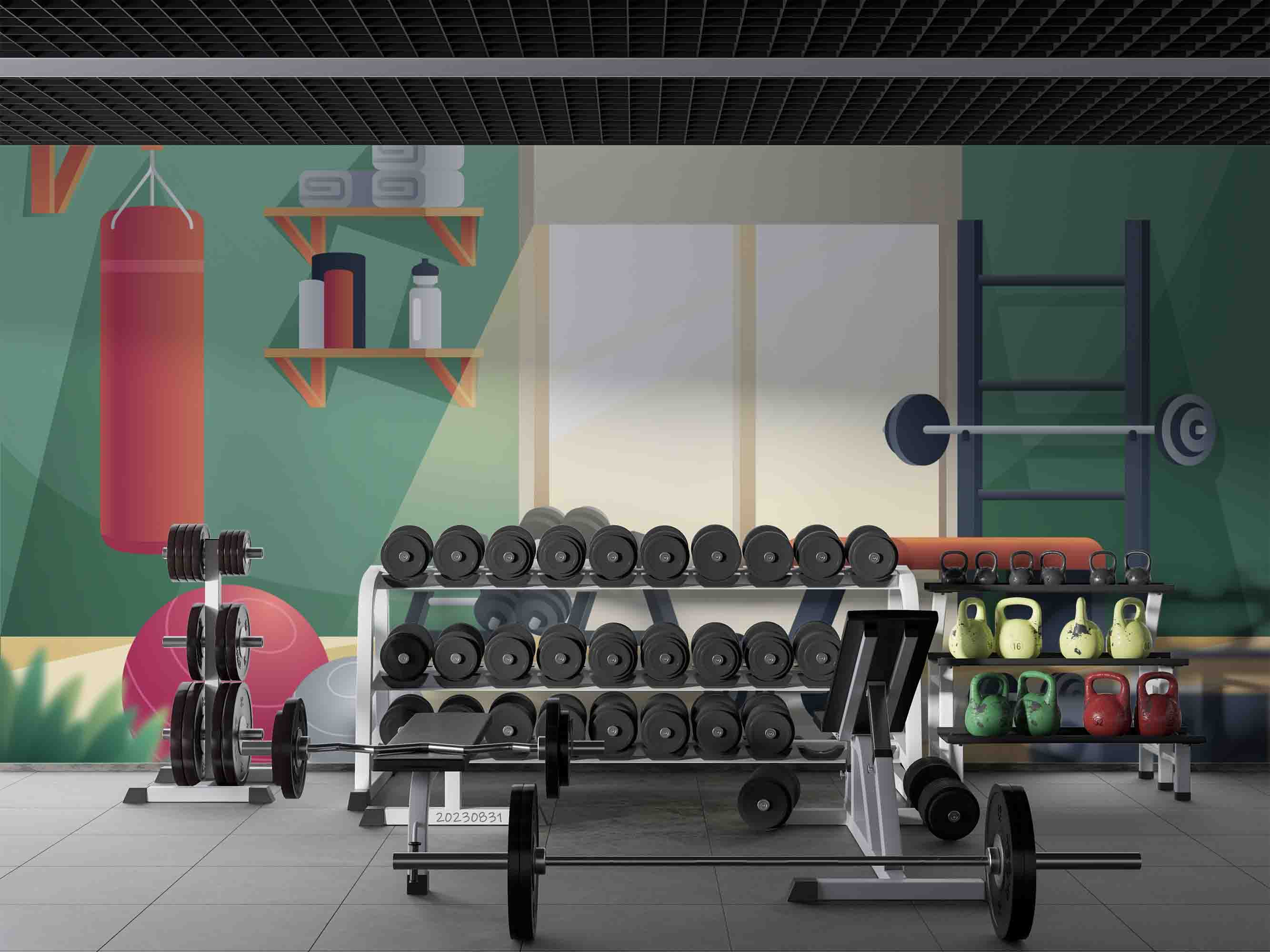 3D Gym Dumbbell Fitness Ball Boxing Wall Mural Wallpaper YXL 2379