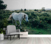 3D Ranch Scenery White Horse Grazing Wall Mural Wallpaper GD 5330- Jess Art Decoration