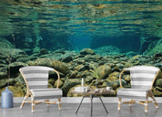 3D Grande Terre Dumbea River Riverbed Rock New Caledonia Wall Mural Wallpaper GD 4372- Jess Art Decoration