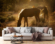 3D Morning Sun Meadow Mustang Arizona Wall Mural Wallpaper GD 5374- Jess Art Decoration