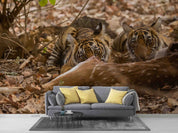 3D Animals Nature Wild Tiger Wallpaper Wall Mural Wall Decor Wall Art Wall Sticker Remoable Wallpaper 11