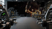 3D Gym Fitness Gymnasium Dumbbell Wall Mural Wallpaper 58