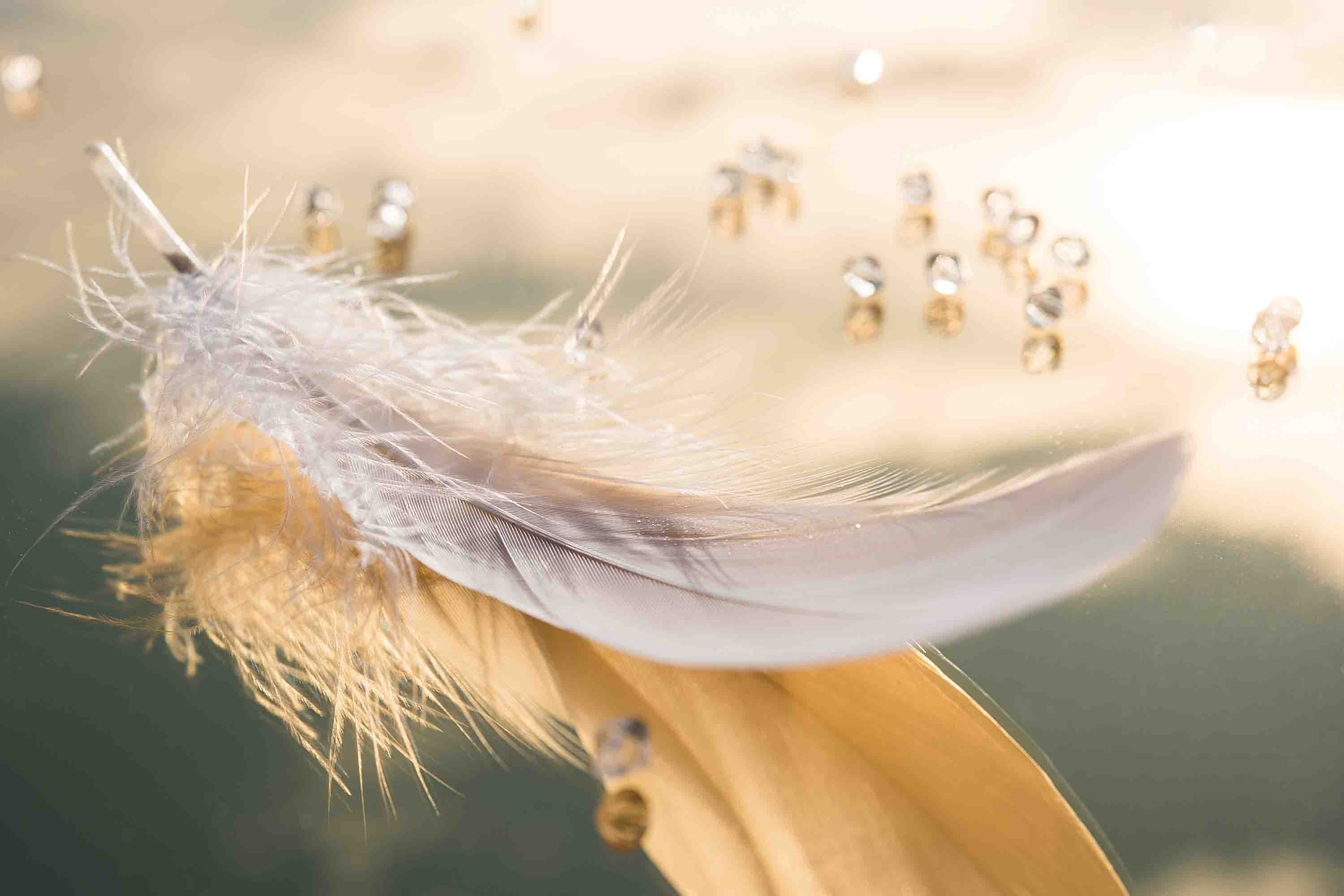 3D Retail Shop Store Market Trade Feather Wall Mural Wallpaper 27