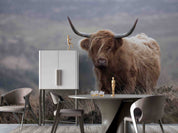 3D Animal Cattle Grassland Sky Wall Mural Wallpaper YXL 2516