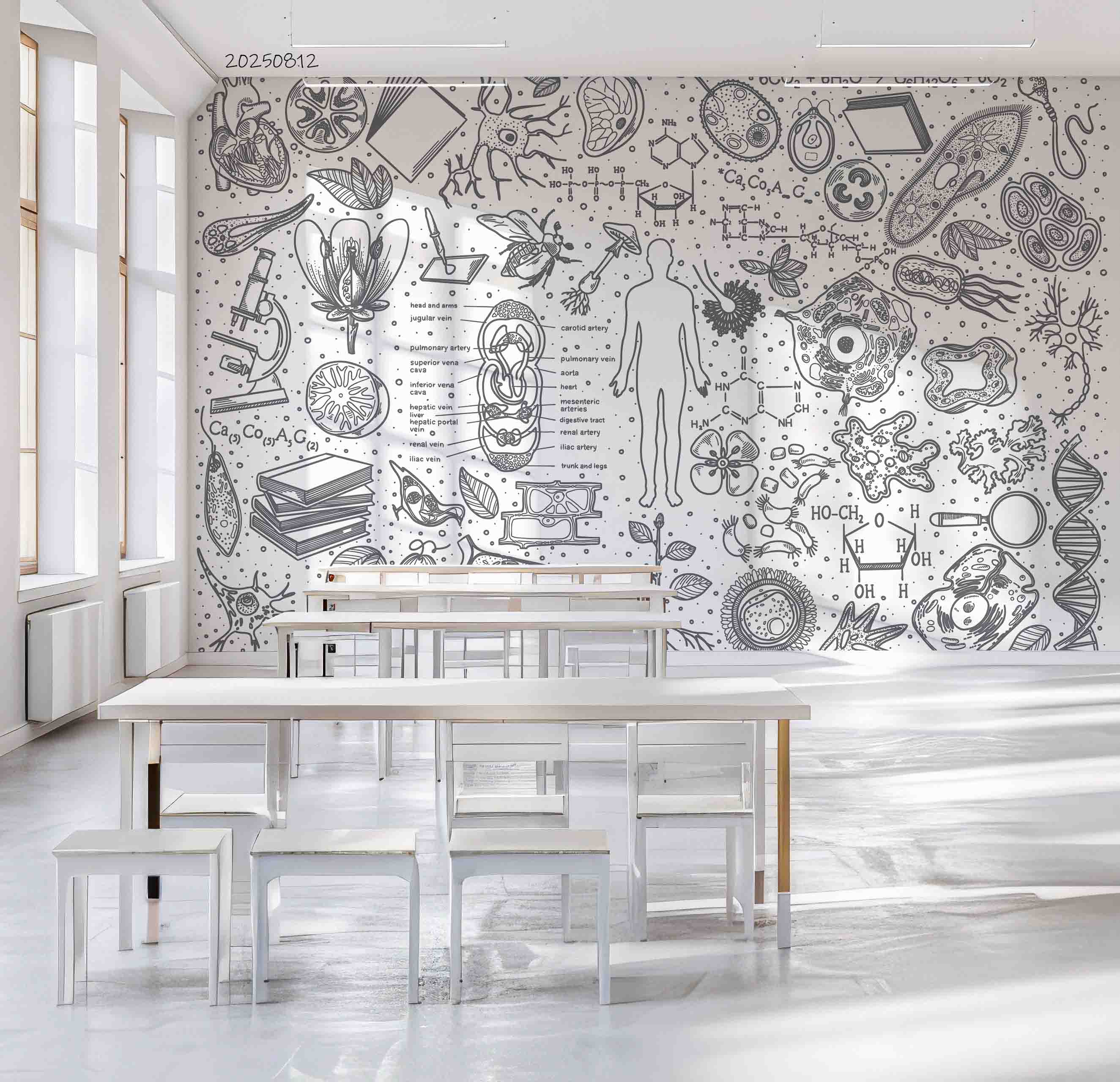 3D School STEM Science Lab Classroom Teaching Aid Wall Mural Wallpaper 46