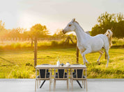 3D White Horse Meadow Sunset Wall Mural Wallpaper GD 5299- Jess Art Decoration