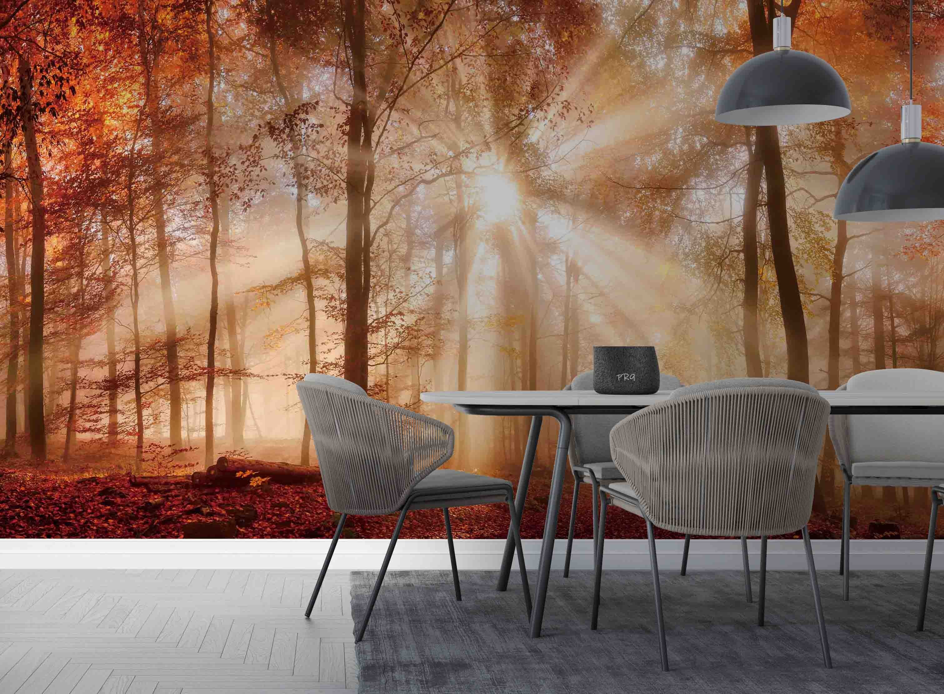 3D Forest Trees Misty Morning Sun Sunshine Wall Mural Wallpaper GD 4710- Jess Art Decoration