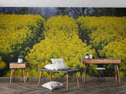 3D Yellow Rapeseed Field Flower Wallpaper Wall Mural Wall Decor Wall Art Wall Sticker Remoable Wallpaper