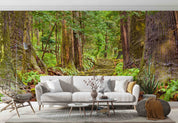 3D Daimon-zaka Slope Forest Trees Wakayama Nachi City Japan Wall Mural Wallpaper GD 4341- Jess Art Decoration