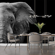 3D Animal Elephant Grey Black Wall Mural Wallpaper YXL 14- Jess Art Decoration