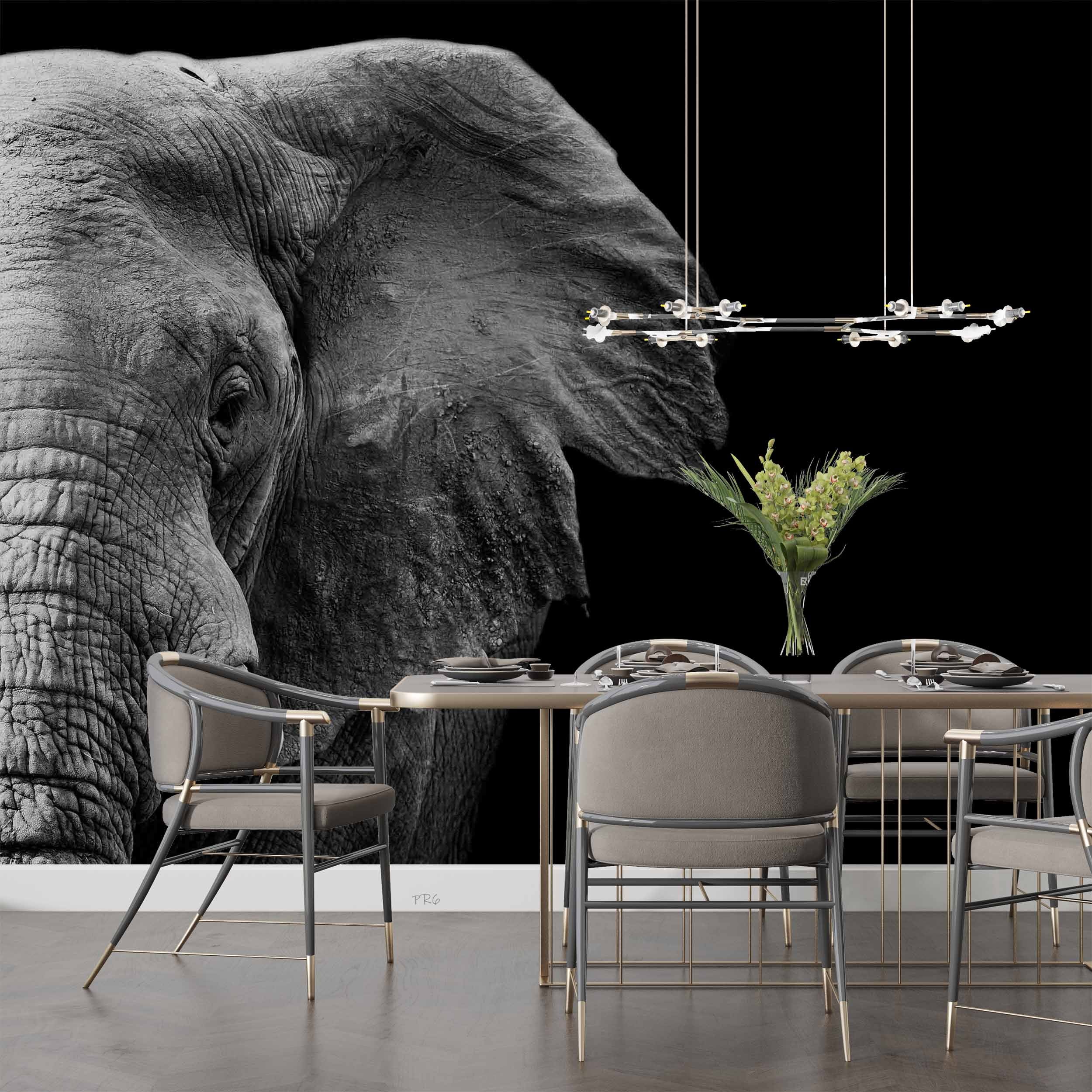 3D Animal Elephant Grey Black Wall Mural Wallpaper YXL 14- Jess Art Decoration