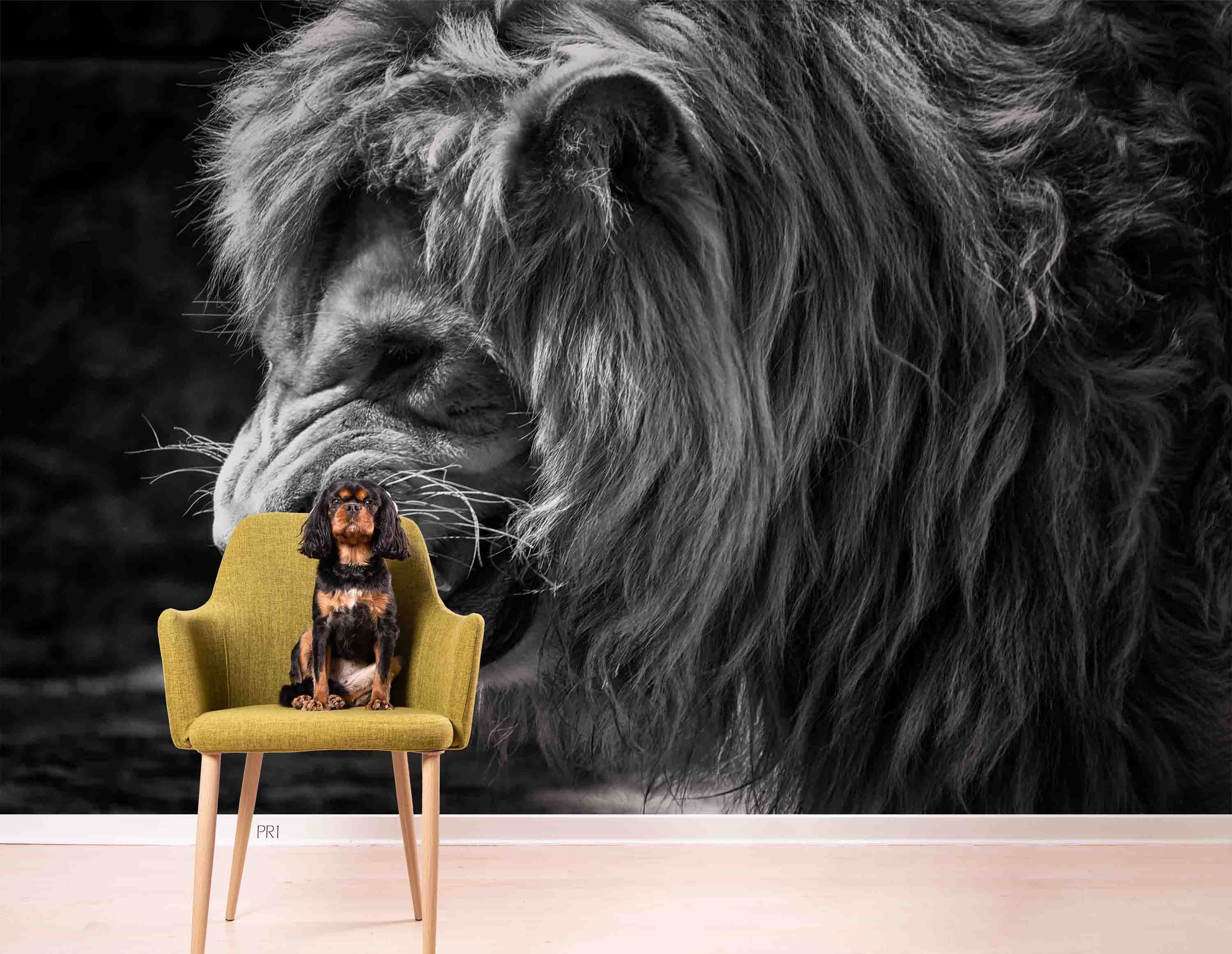 3D Forest Animal Lion Cub Black Wall Mural Wallpaper GD 3626- Jess Art Decoration