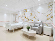 3D Aged Care Retirement Home Gerocomium Rest Home Marble White Gold Wall Mural Wallpaper 34