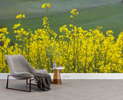 3D Yellow Rapeseed Field Wallpaper Wall Mural Wall Decor Wall Art Wall Sticker Remoable Wallpaper