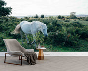 3D Ranch Scenery White Horse Grazing Wall Mural Wallpaper GD 5330- Jess Art Decoration