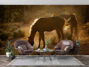 3D Morning Sun Meadow Mustang Arizona Wall Mural Wallpaper GD 5374- Jess Art Decoration