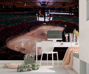 3D Architecture Stadium Skating Rink Wall Mural Wallpaper YXL 461