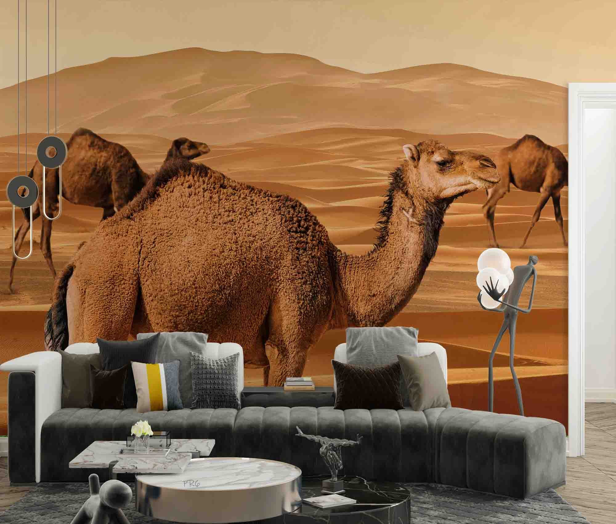 3D Animal Camel Desert Golden Wall Mural Wallpaper YXL 1- Jess Art Decoration