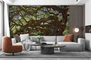 3D Forest Tree Trunk Sunlight Leaf Wall Mural Wallpaper YXL 502