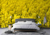 3D Yellow Rapeseed Field Floral Wallpaper Wall Mural Wall Decor Wall Art Wall Sticker Remoable Wallpaper