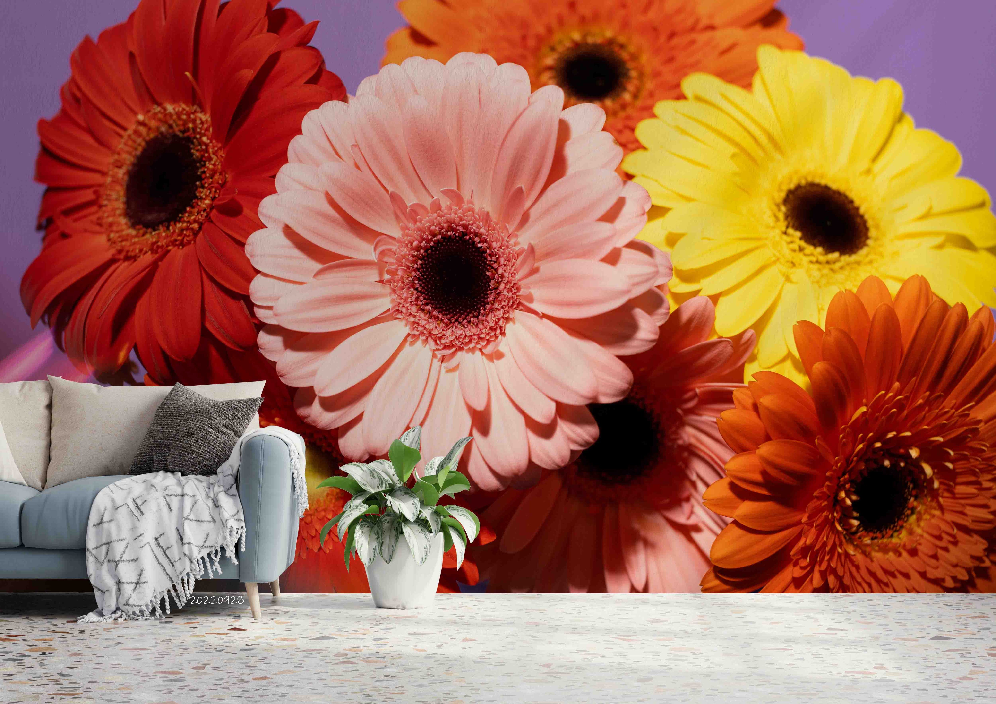3D Spring Colorful Gerbera Wall Mural Wallpaper GD 3356- Jess Art Decoration