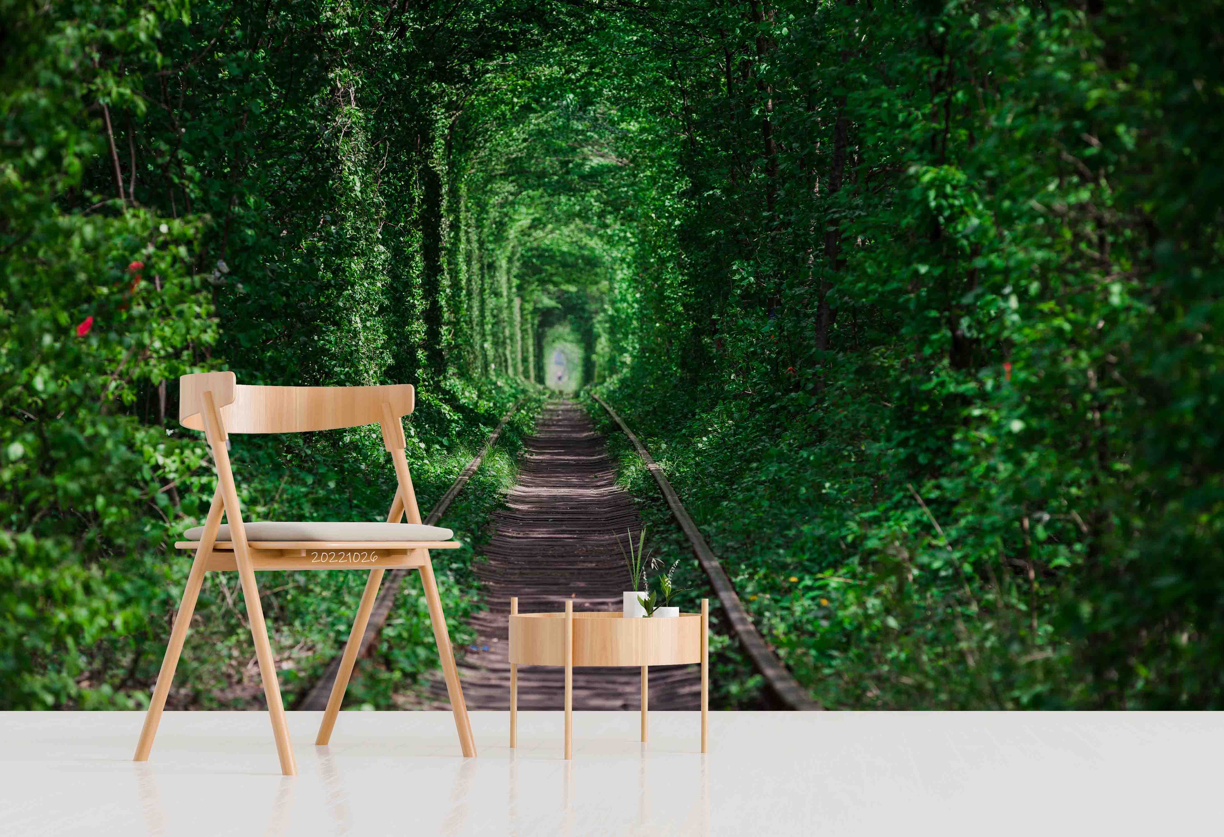 3D Railroad Summer Forest Green Trees Tunnel Wall Mural Wallpaper GD 3138- Jess Art Decoration