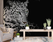 3D Animal Lion Black Wall Mural Wallpaper YXL 2821