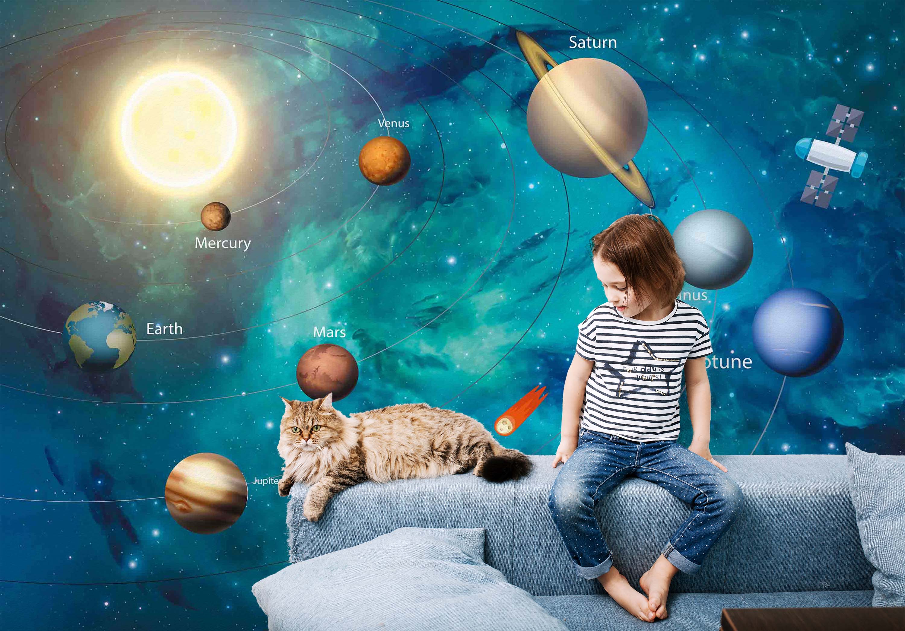 3D Space Planet Orbit Satellite Wall Mural Wallpaper GD 3903- Jess Art Decoration