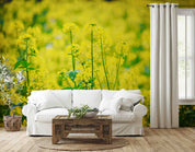 3D Yellow Rapeseed Field Flower Wallpaper Wall Mural Wall Decor Wall Art Wall Sticker Remoable Wallpaper