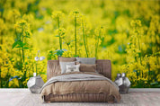 3D Yellow Rapeseed Field Flower Wallpaper Wall Mural Wall Decor Wall Art Wall Sticker Remoable Wallpaper