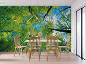 3D Summer Green Tree Sky Wall Mural Wallpaper GD 4471- Jess Art Decoration