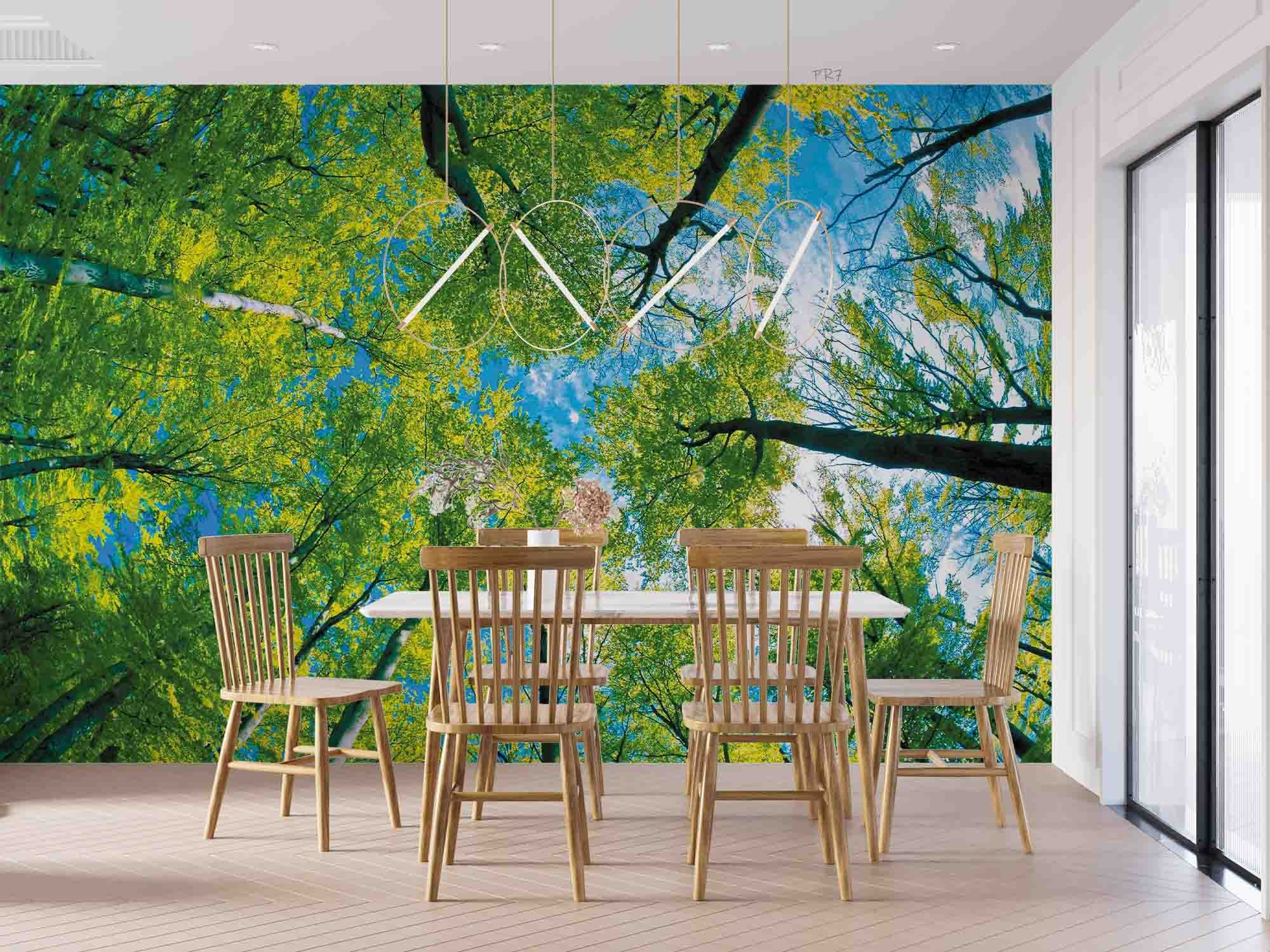 3D Summer Green Tree Sky Wall Mural Wallpaper GD 4471- Jess Art Decoration