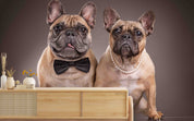 3D Animal Dog Bulldog Brown Bowknot Wall Mural Wallpaper YXL 514