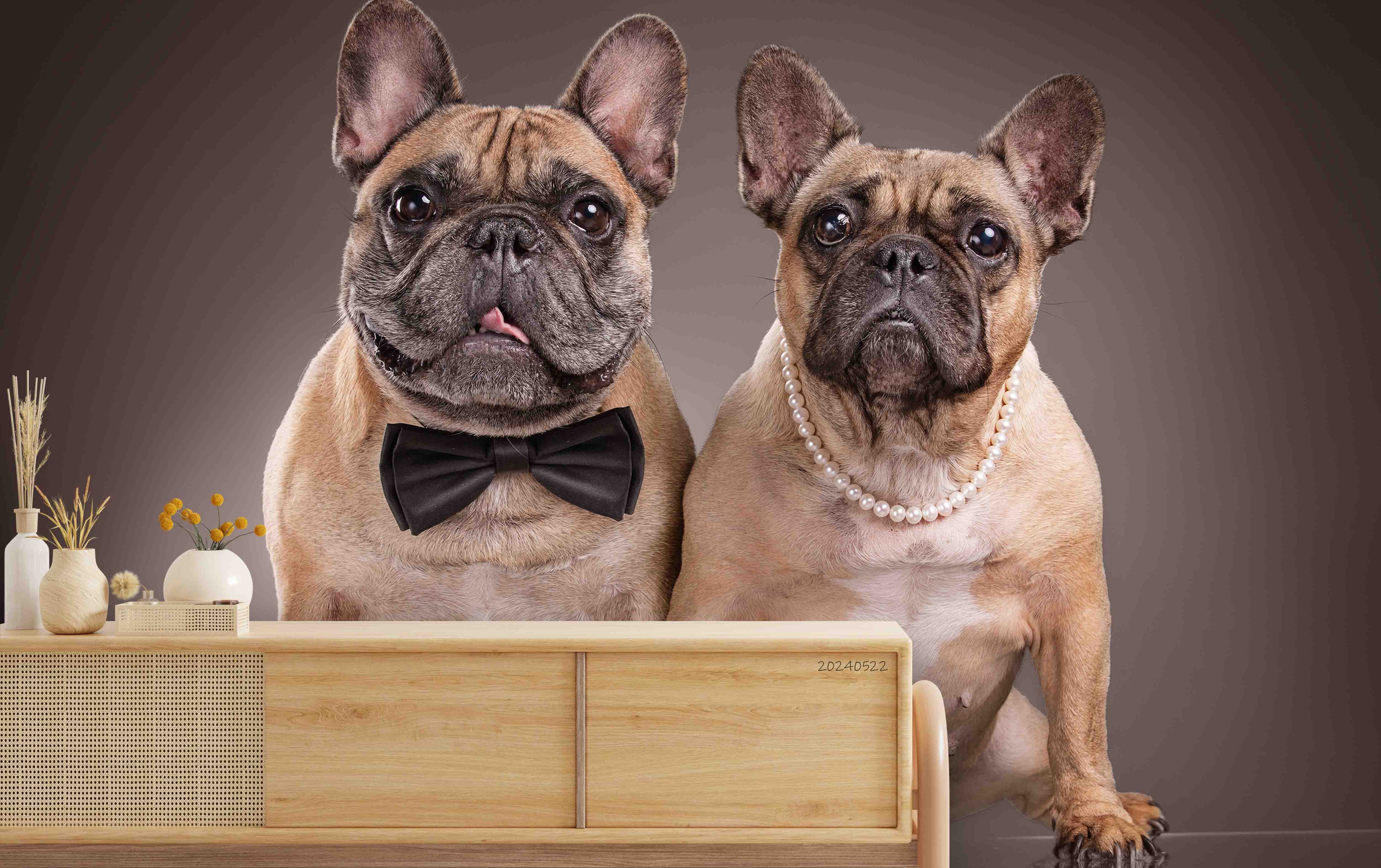 3D Animal Dog Bulldog Brown Bowknot Wall Mural Wallpaper YXL 514