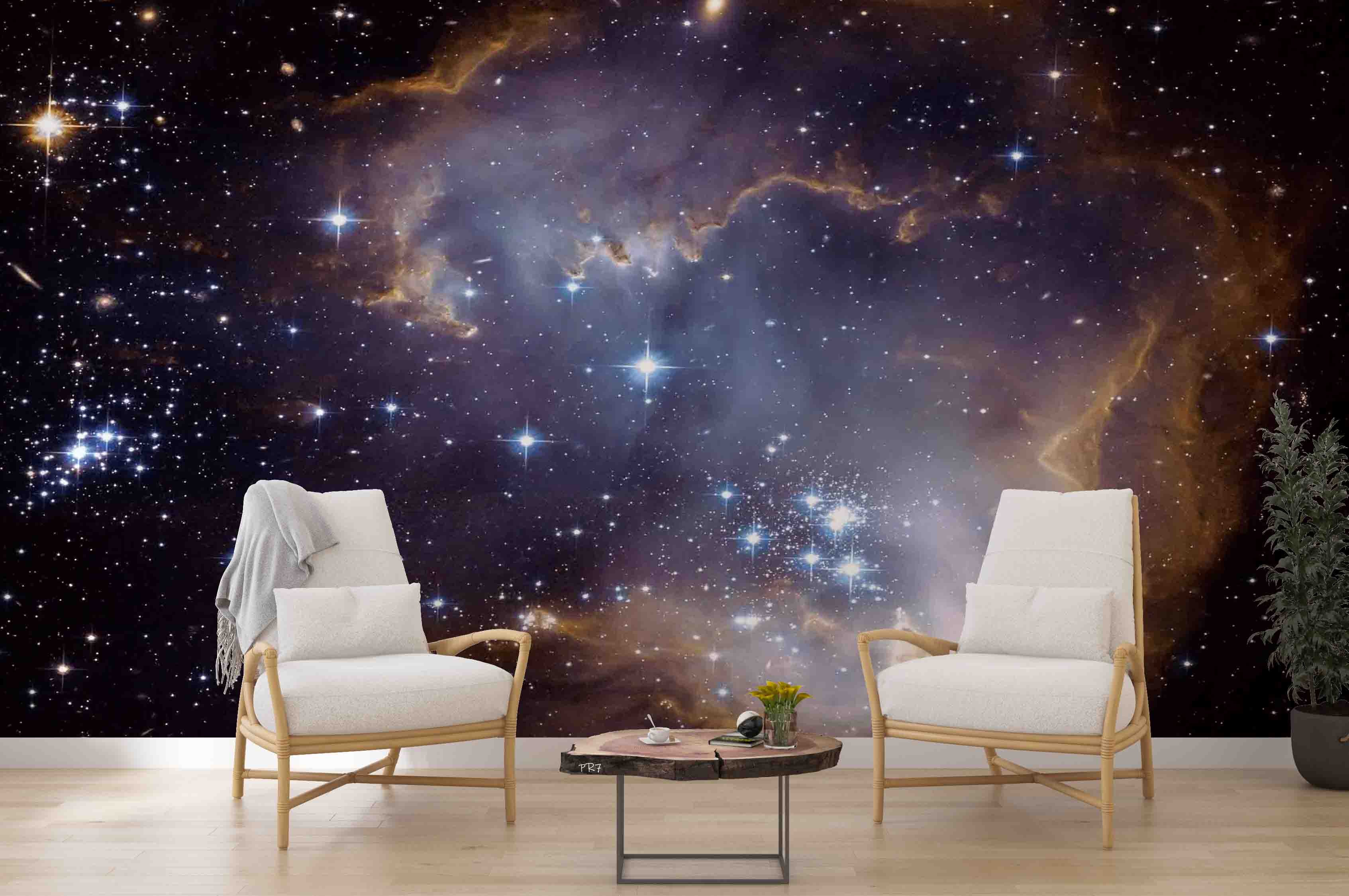 3D Star Cloud Night Sky Silhouette Branch Tree Wall Mural Wallpaper GD 4496- Jess Art Decoration