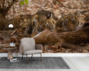 3D Animals Nature Wild Tiger Wallpaper Wall Mural Wall Decor Wall Art Wall Sticker Remoable Wallpaper 11
