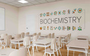 3D School STEM Science Lab Classroom Teaching Aid Chemistry Wall Mural Wallpaper 54