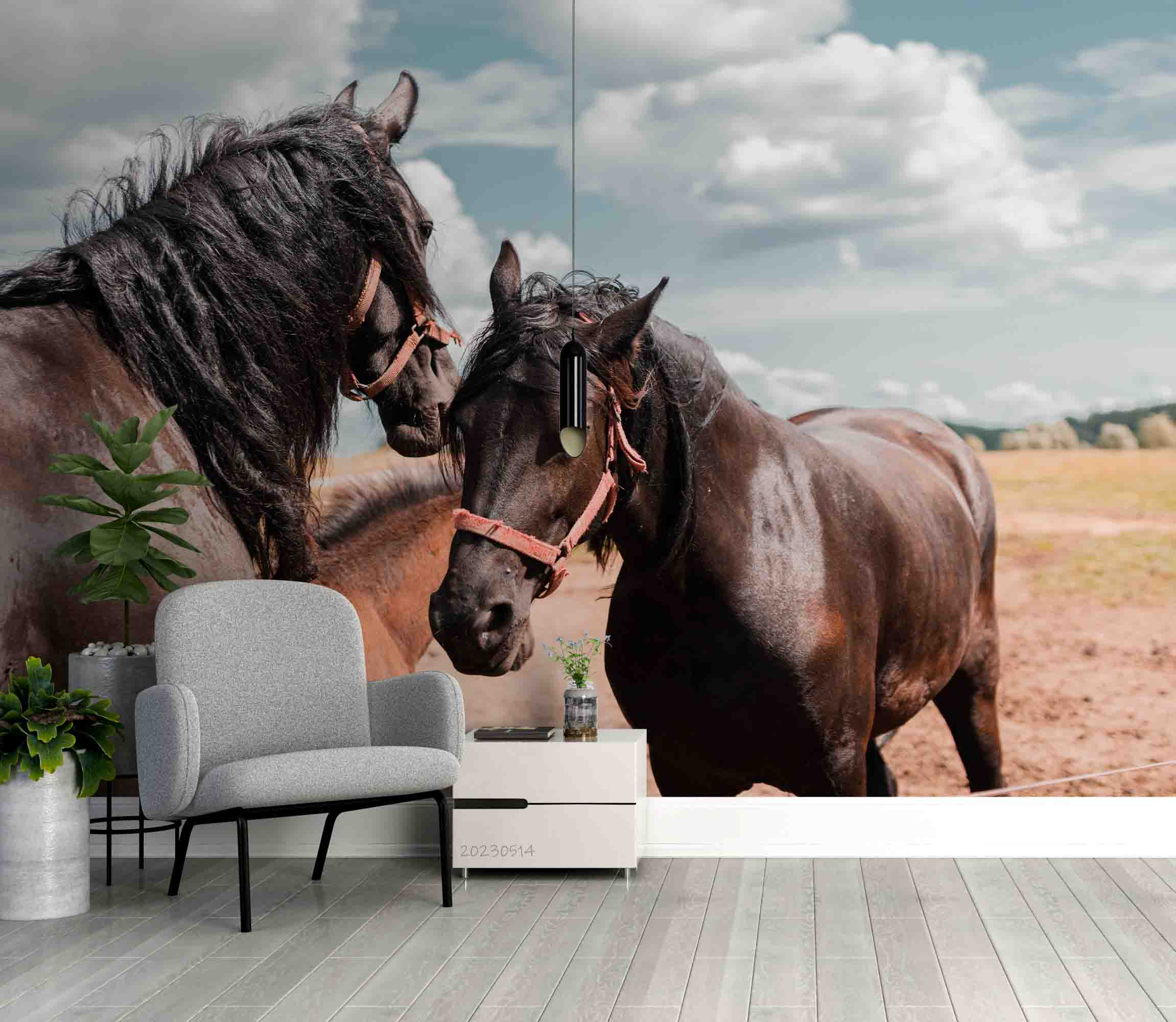 3D Brown Black Horses Pasture Wall Mural Wallpaper GD 5313- Jess Art Decoration