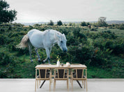 3D Ranch Scenery White Horse Grazing Wall Mural Wallpaper GD 5330- Jess Art Decoration